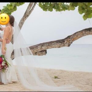 Classic simple white cathedral length veil